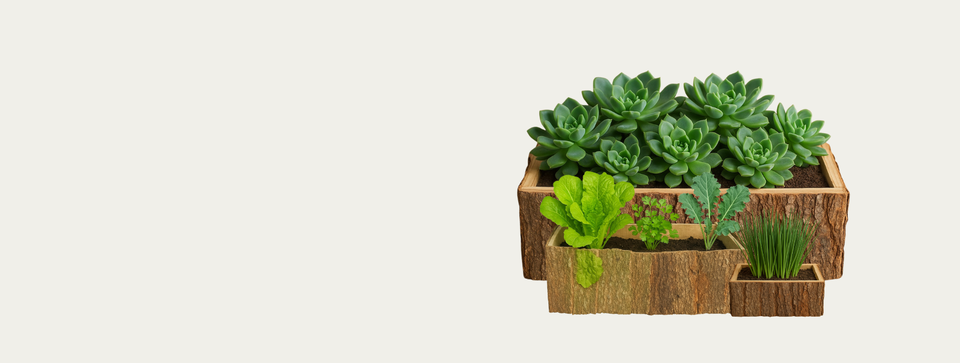 Hộp gỗ nhiều loại