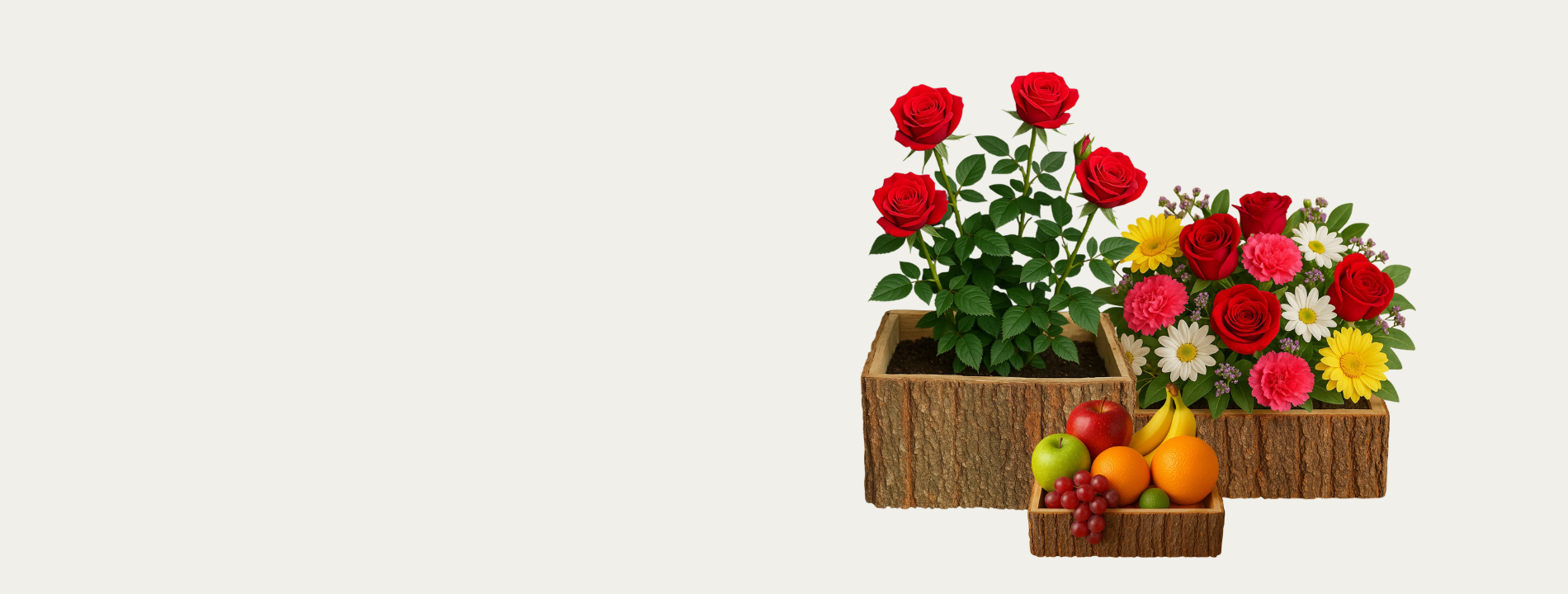 Hộp gỗ nhiều loại